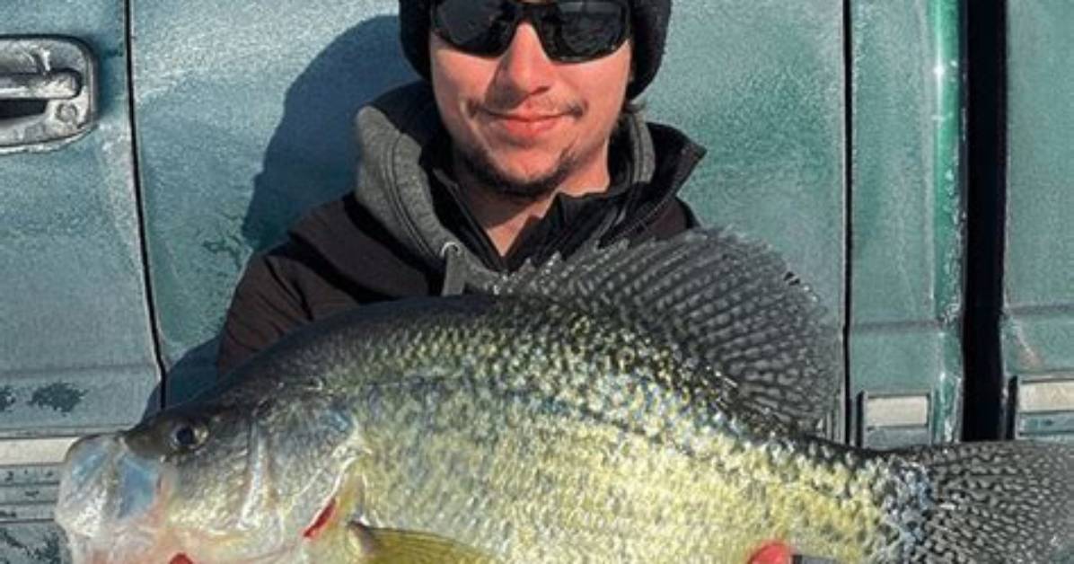 What Temperature Do Fish Bite the Most?