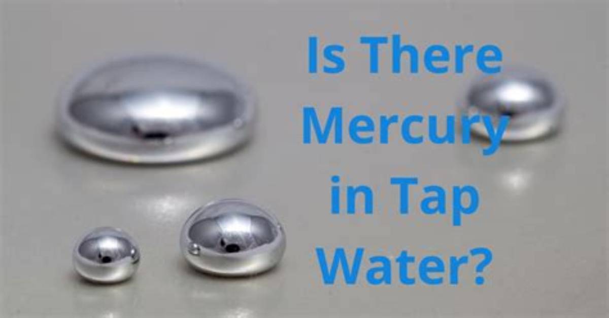 What Things Contain Mercury