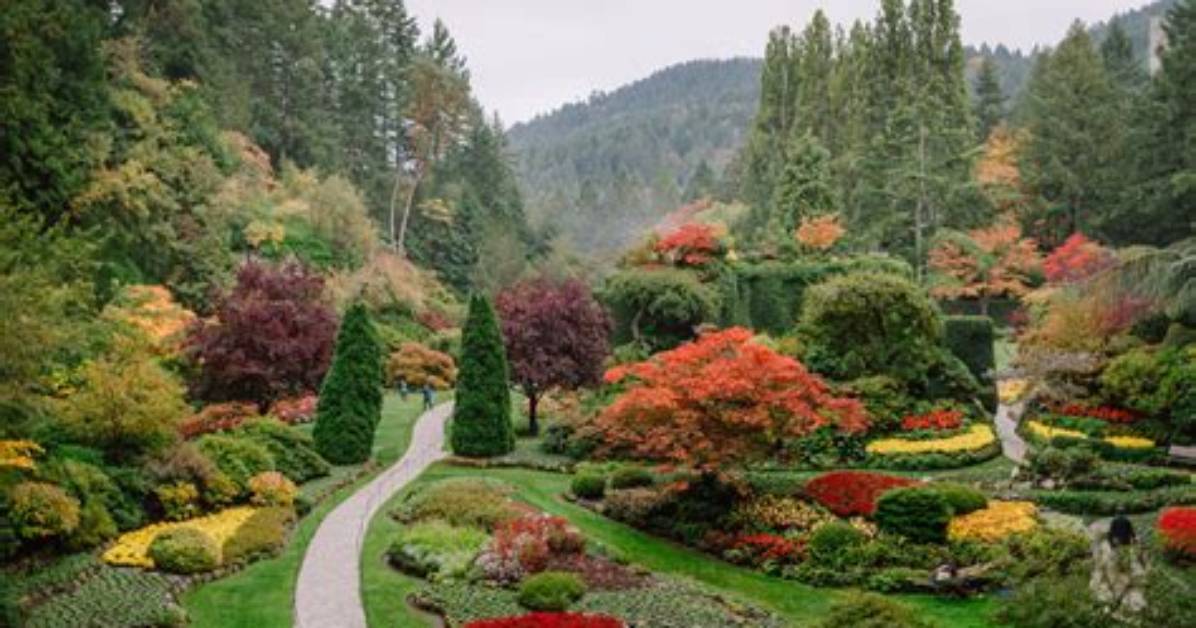 What Time Does Butchart Gardens Open?