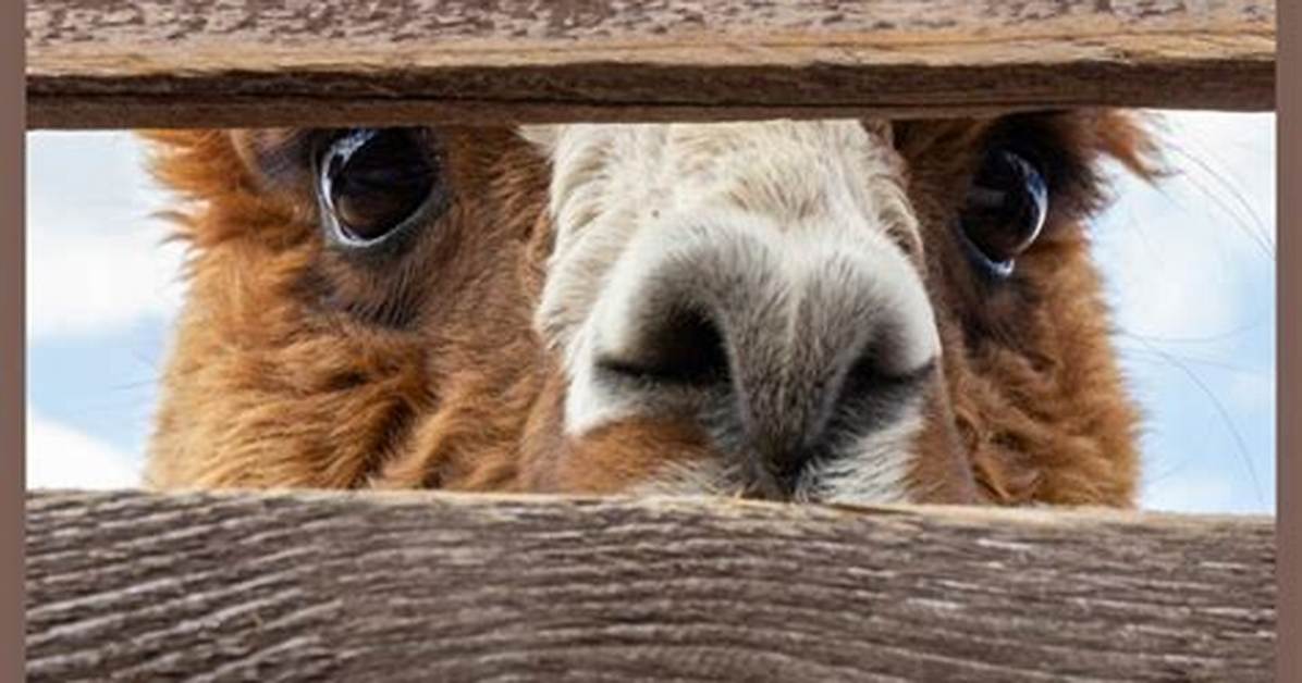 What to Do When You're Being Gossiped About?