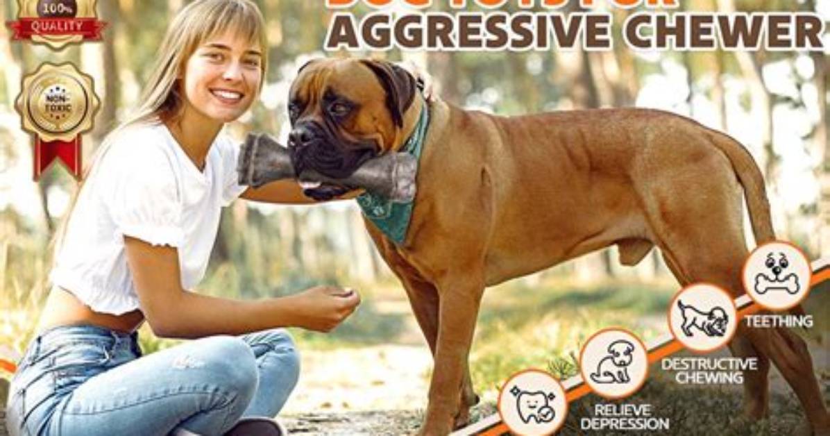 What to Do with Aggressive Chewers?