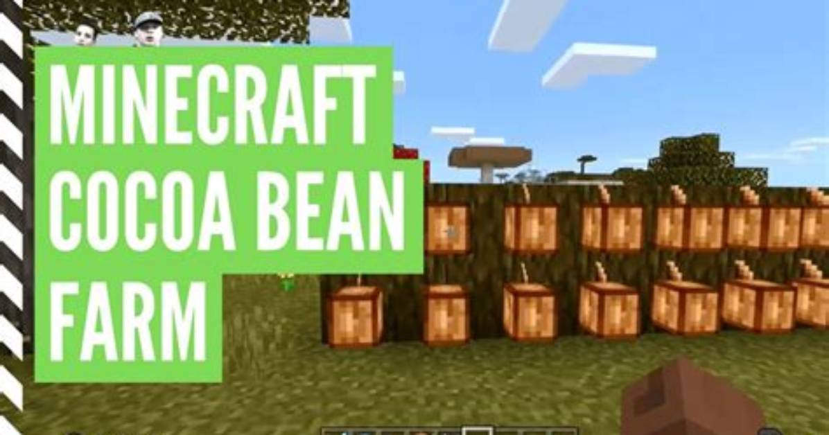 What to Do with Cocoa Beans Minecraft