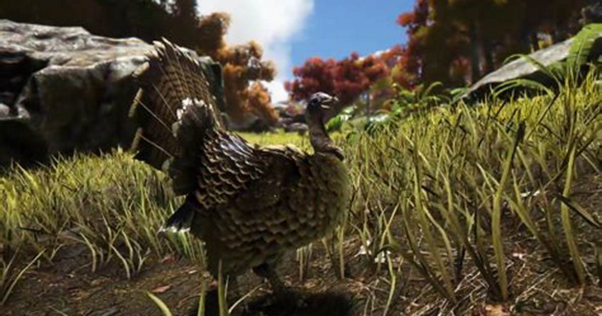 What to Do with Wishbones Ark?