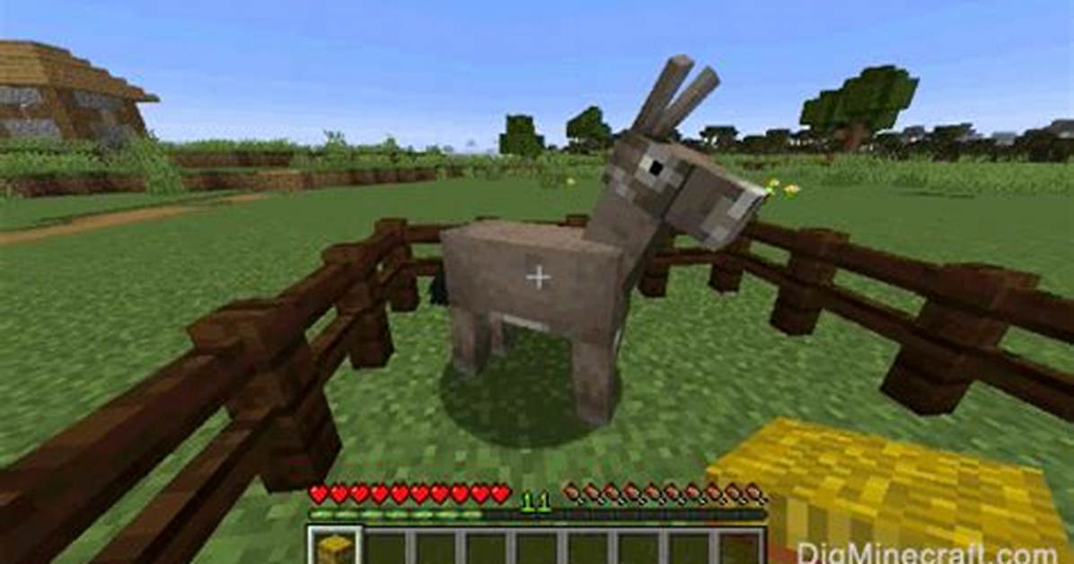 What to Feed Donkeys in Minecraft