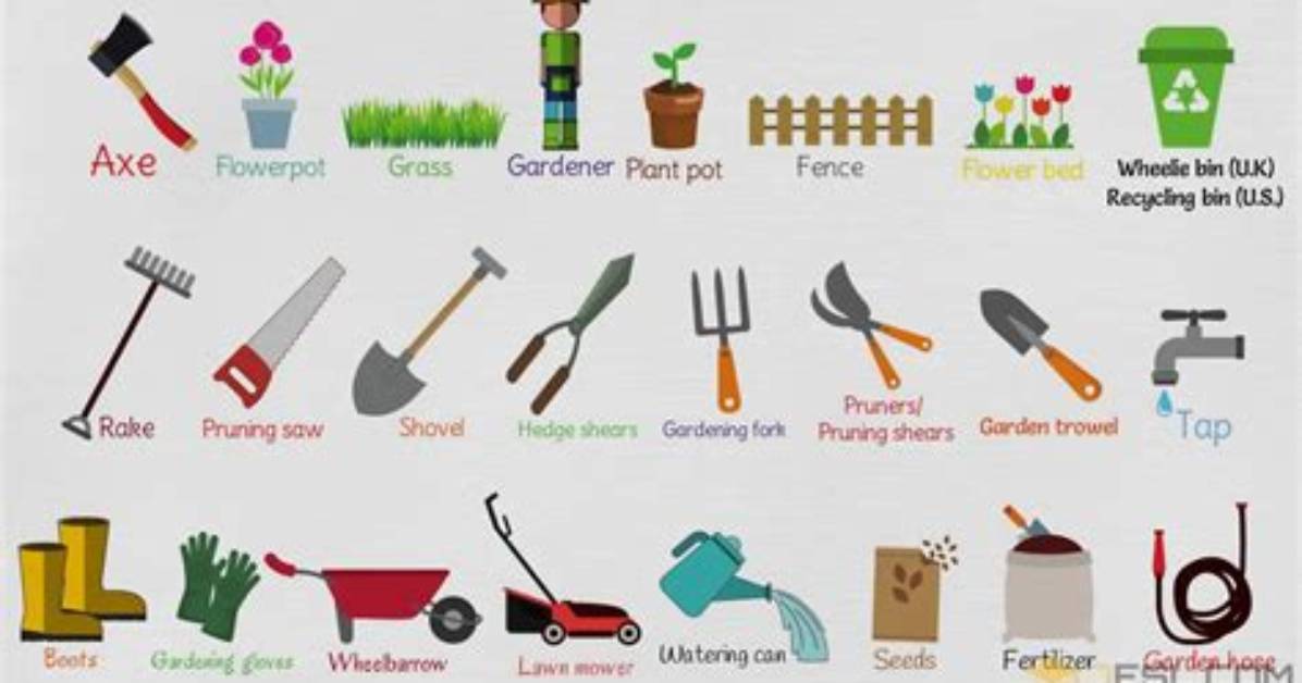 What Tools Do You Need to Plant Grass Seed