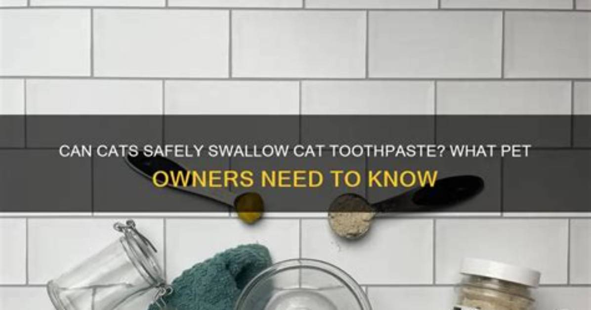 What Toothpaste Is Safe for Cats