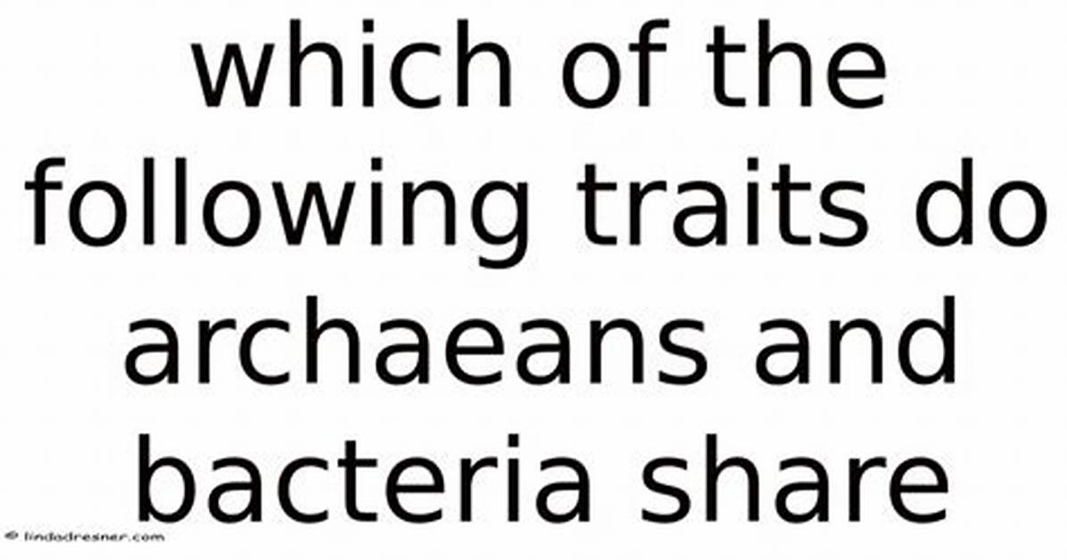 What Traits Do Archaeans and Bacteria Share