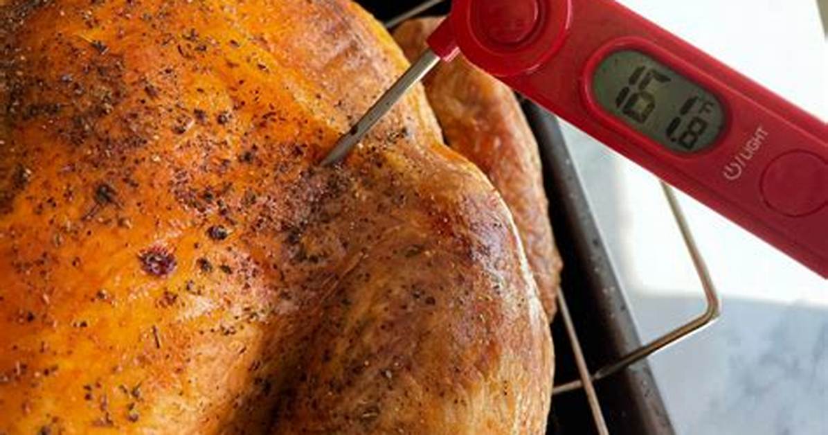 What Turkey Temperature Done?