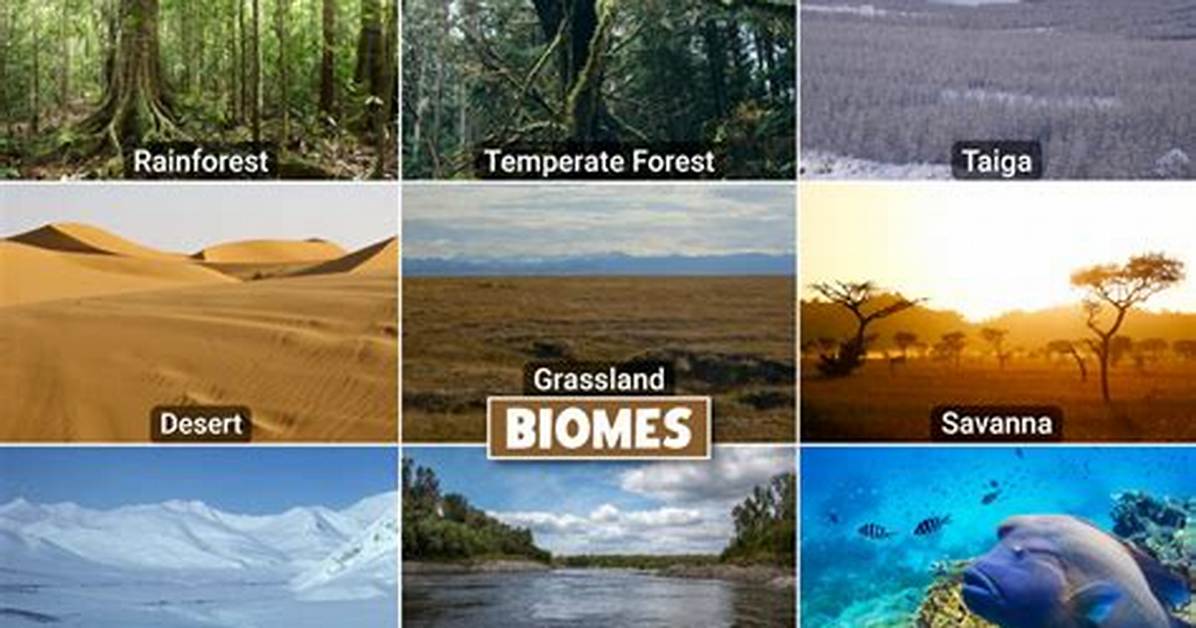 What Two Biomes Are Closest to Where You Live