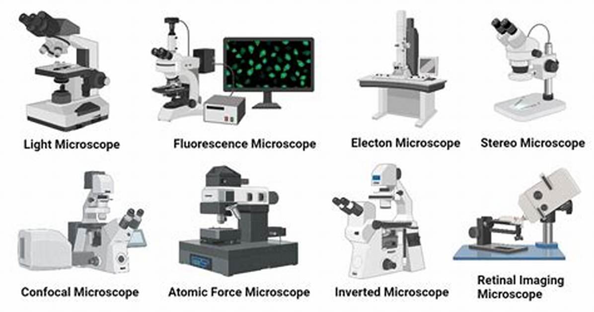 What Type of Microscope Aside from the Compound Light Microscope