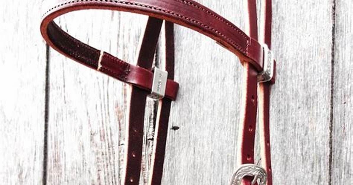 What Us a Headstall?