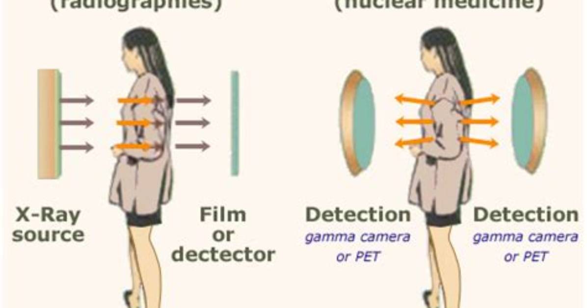 What Uses Gamma Rays?