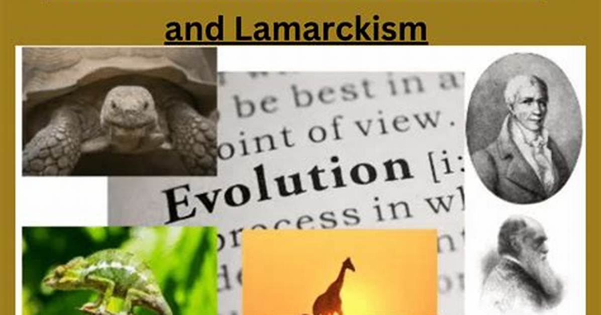 What Was the Difference Between Darwin and Lamarck?