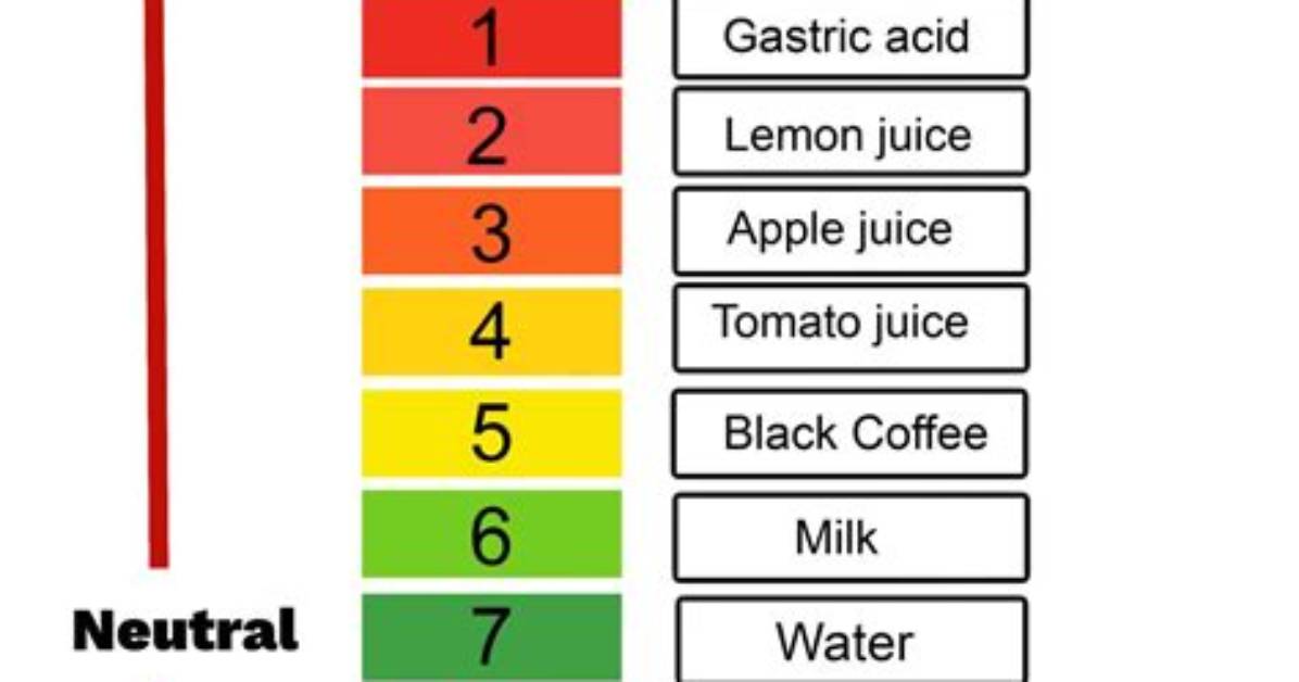 What Was the pH Value at Which Catalase Function the Best?