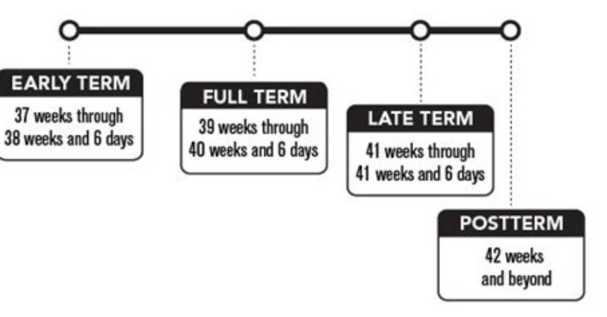 What Week Considered Full Term?