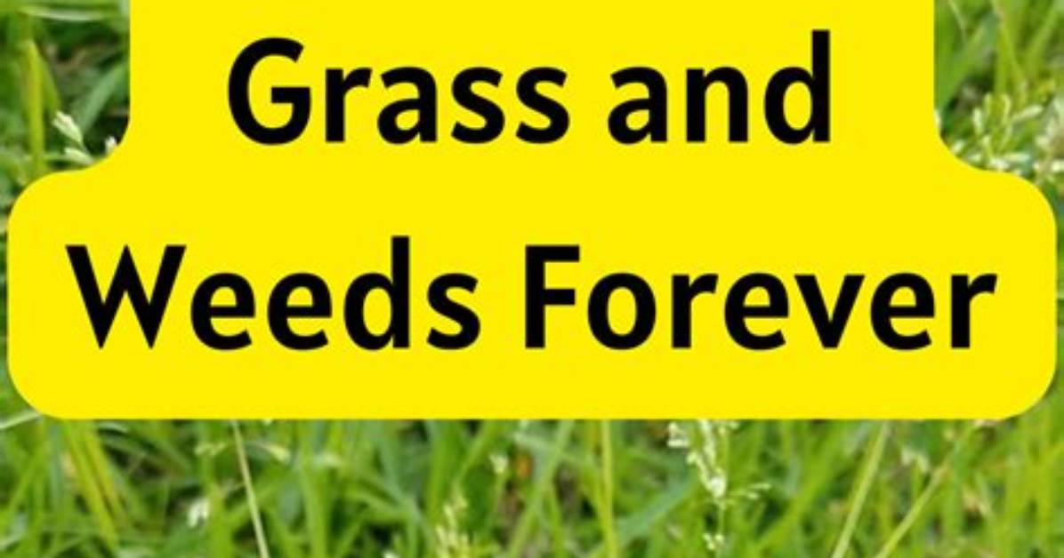 What Will Kill Grass
