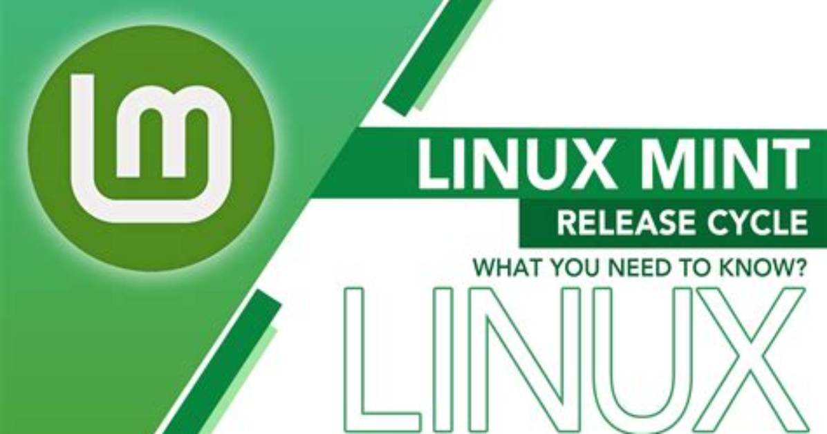 What You Need to Know About Linux?