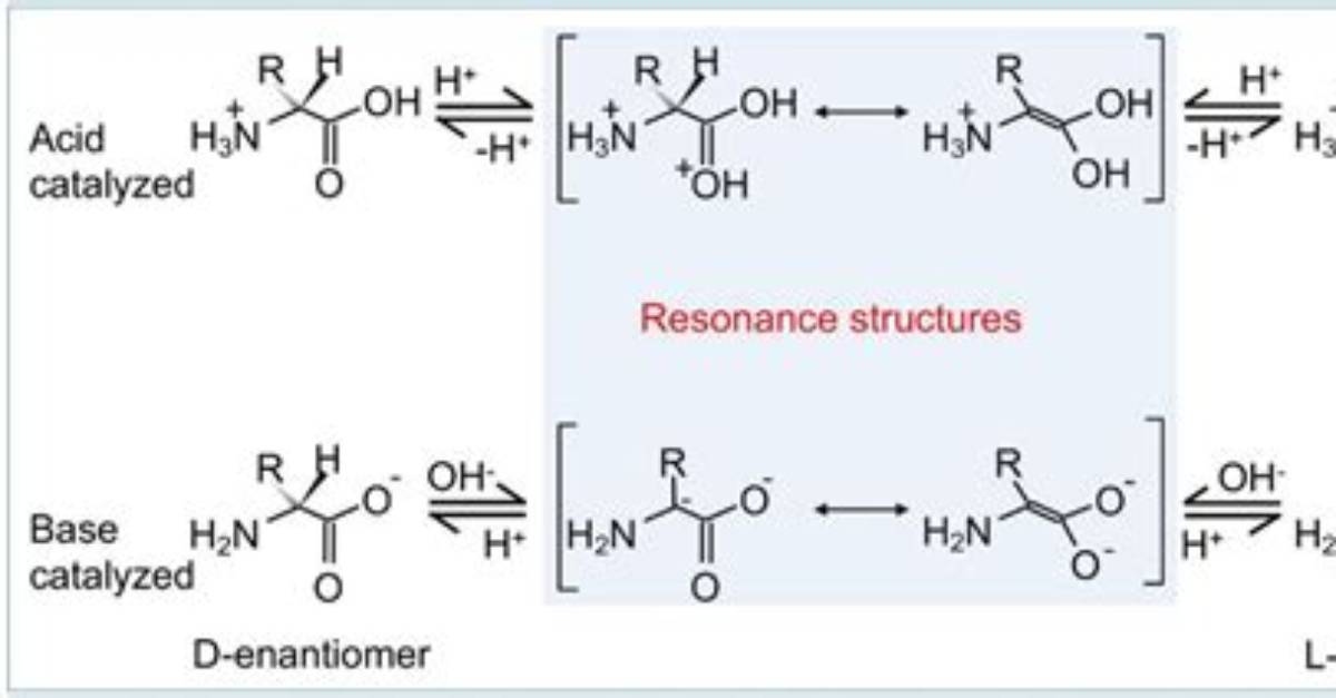 When Amino Acid Racemization?
