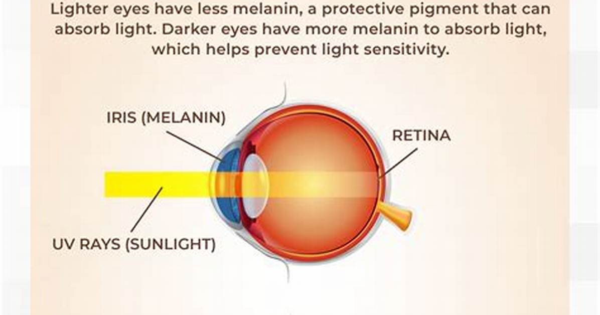 When Are Babies Sensitive to Light?