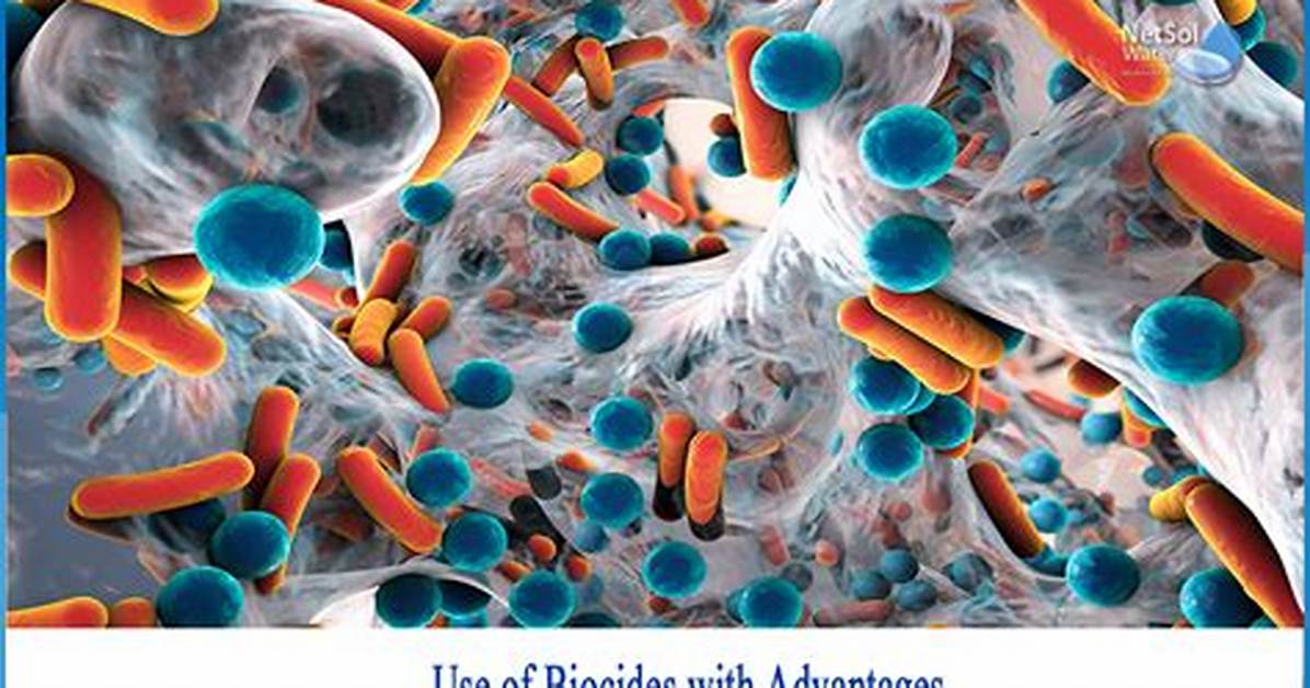 When Are Biocides Used?