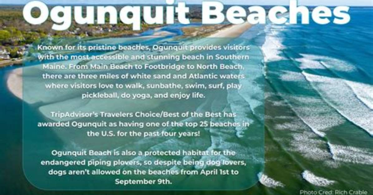 When Are Dogs Allowed on Ogunquit Beach?