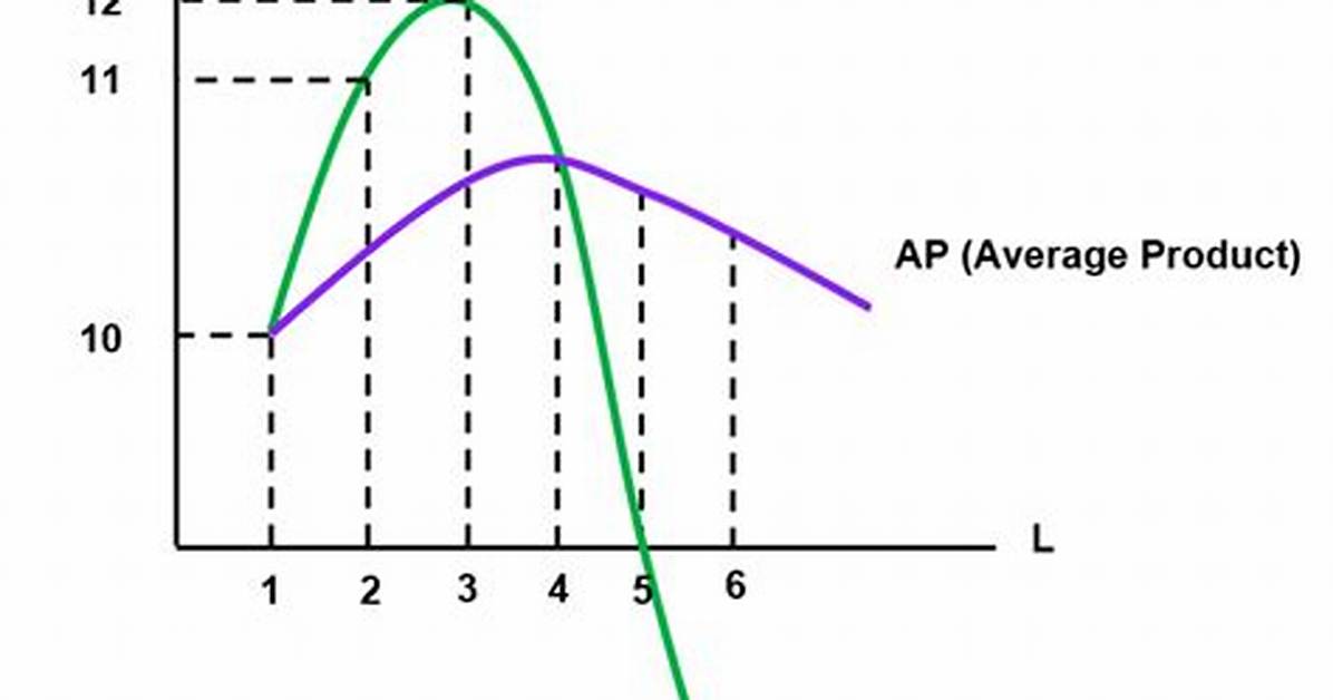 When Average Product Is Highest?