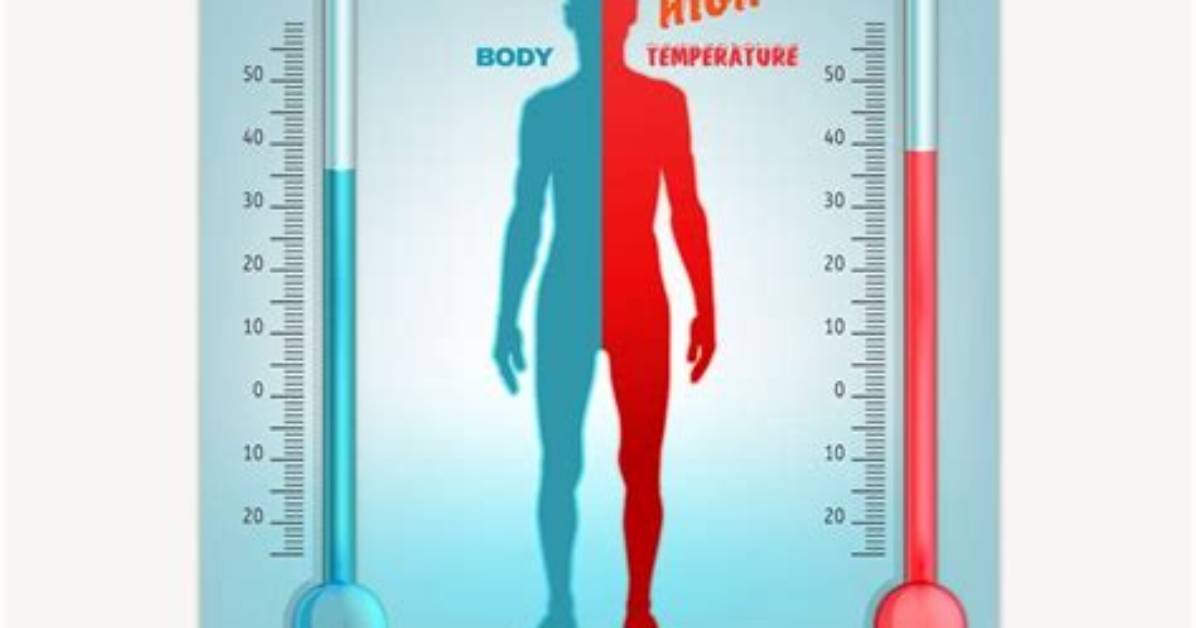 When Body Temperature Increases?