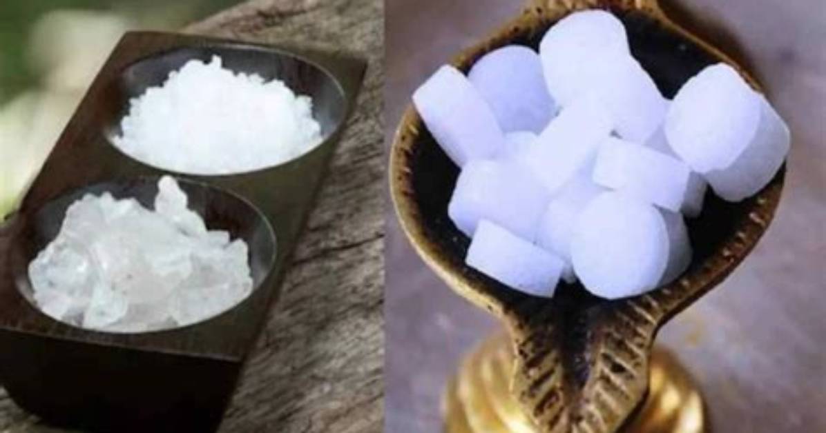 When Camphor Is Heated It Changes into?