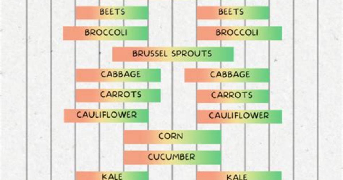 When Can I Plant in Zone 7?