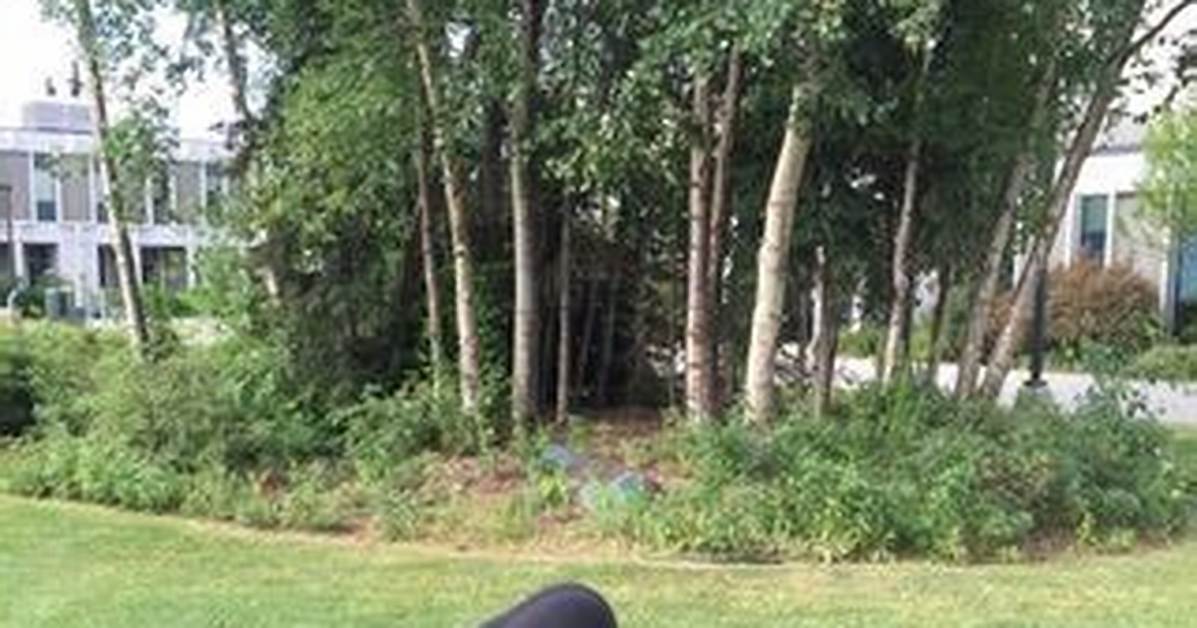 When Can Toddler Somersault?