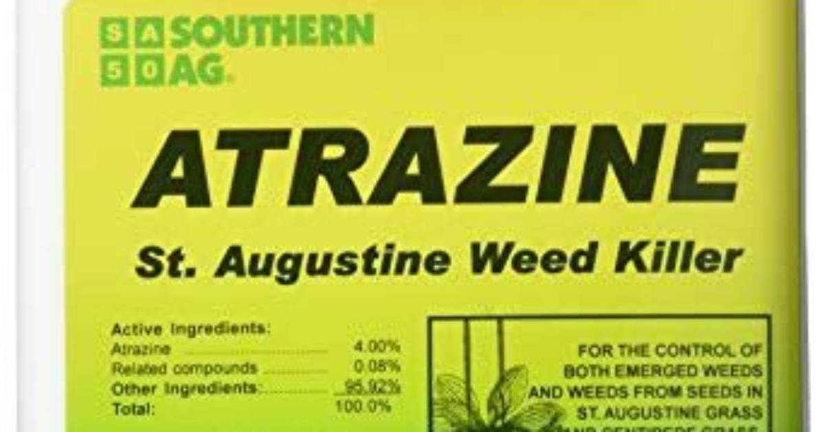 When Can You Apply Atrazine