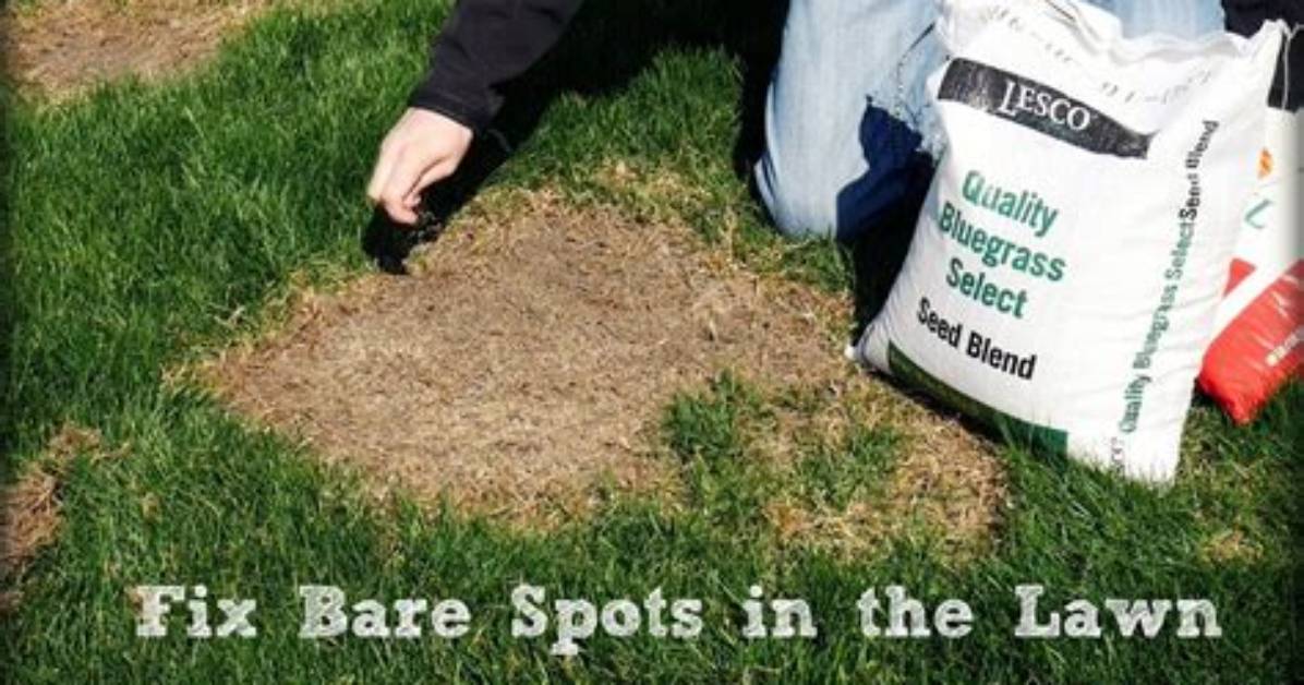 When Can You Put Sod Down