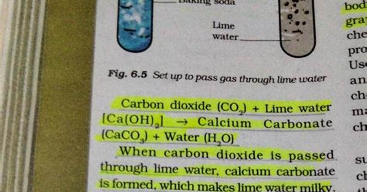 When Carbon Dioxide Is Passed Through?
