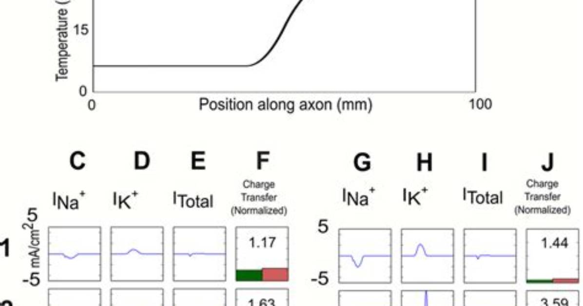 When Current Is Injected into an Axon?