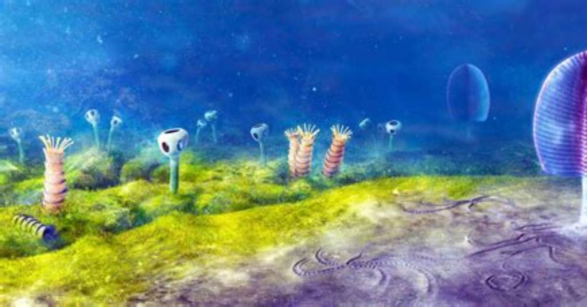 When Did Amoeba First Appear on Earth?