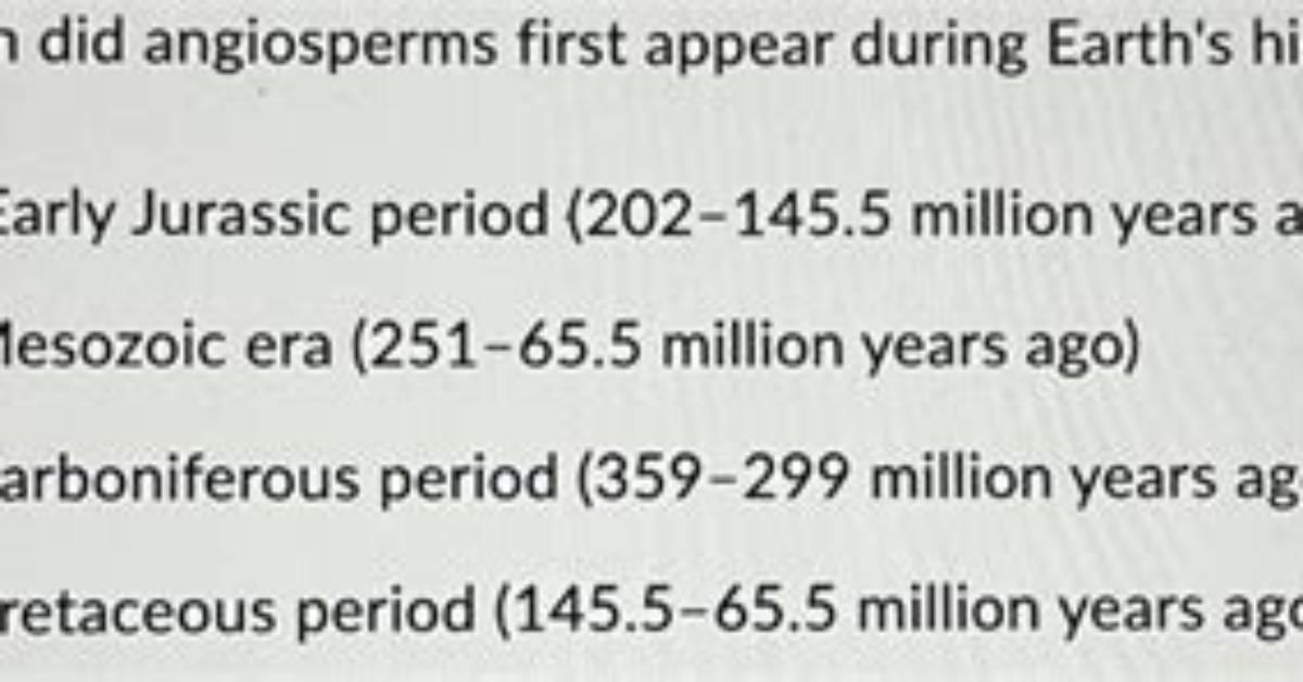 When Did Angiosperms First Appear on Earth
