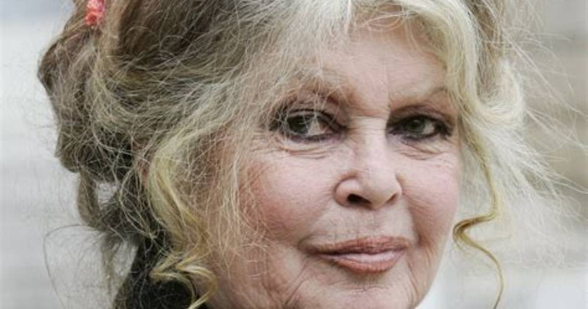 When Did Bardot Form?