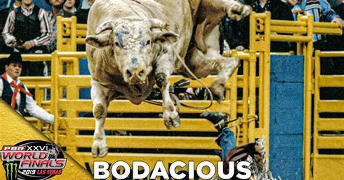 When Did Bodacious Retire?