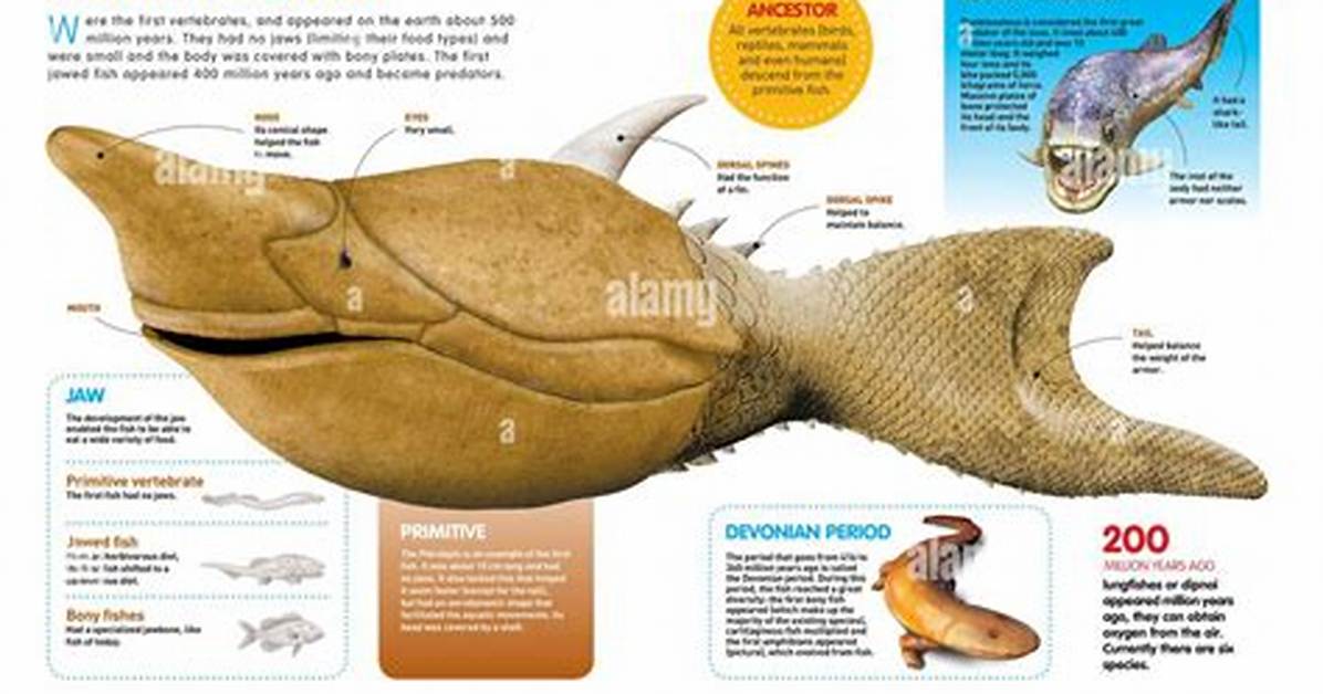 When Did Bony Fish First Appear?