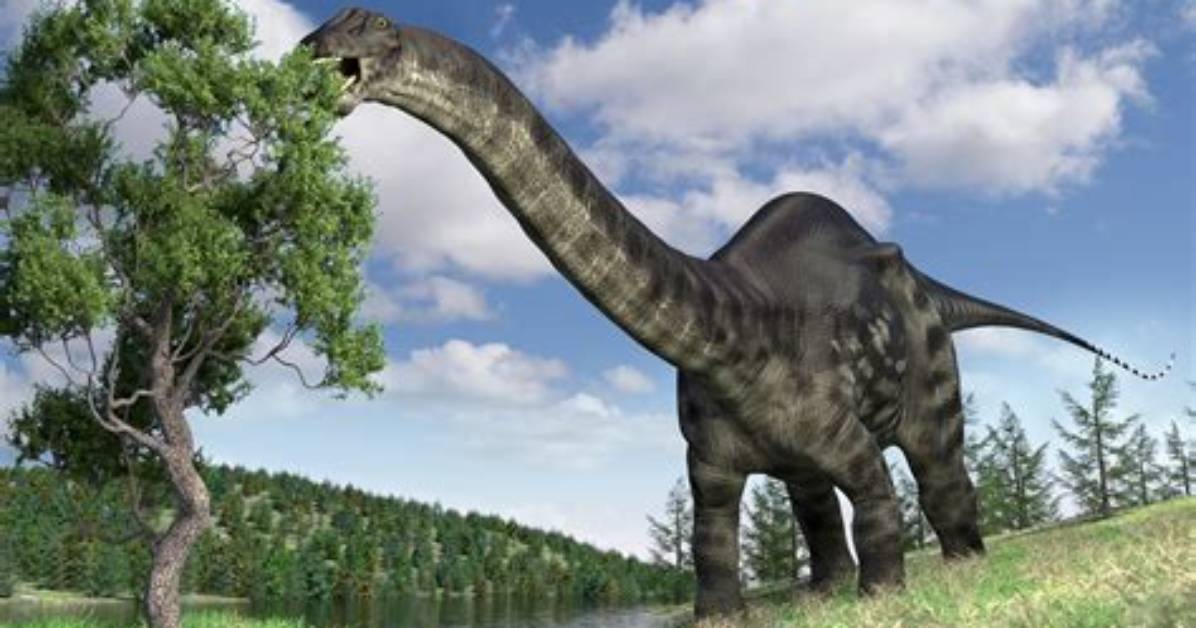 When Did Brontosaurus Live?