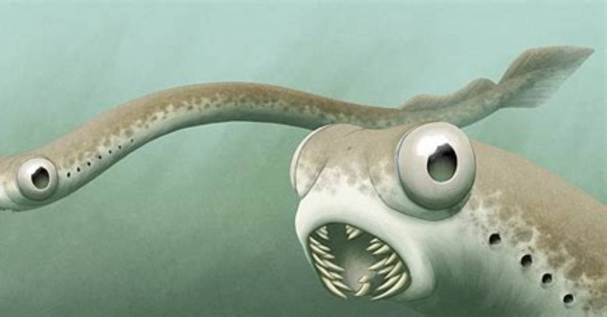 When Did Conodonts Go Extinct?