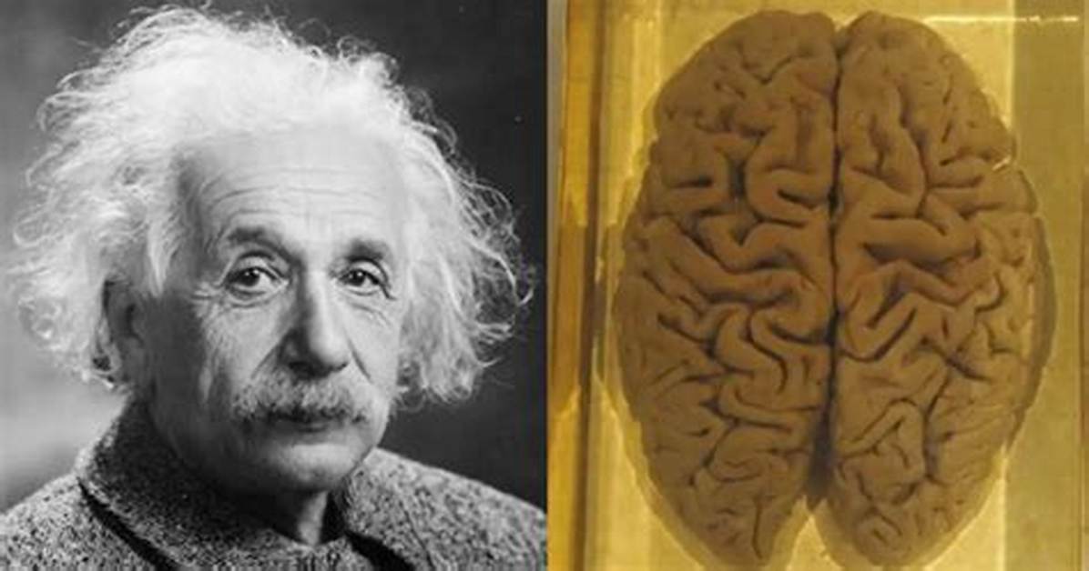 When Did Einstein Die?