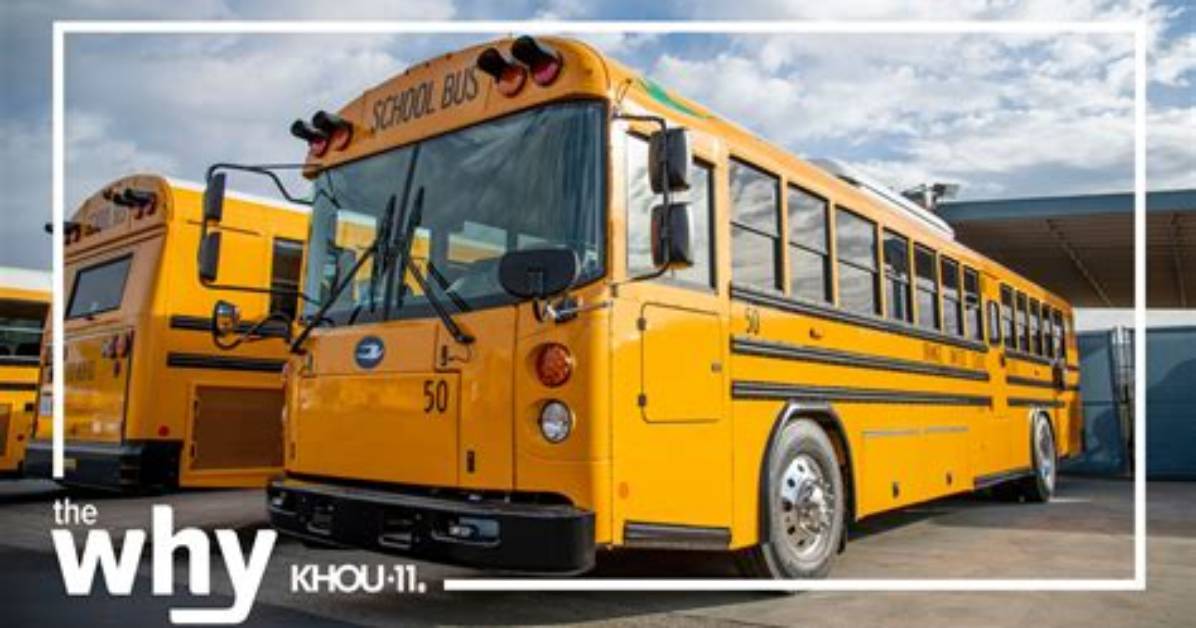 When Did Flat Front School Buses Come Out