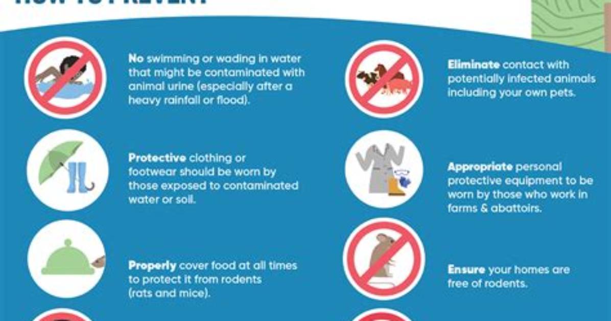 When Did Leptospirosis Start?