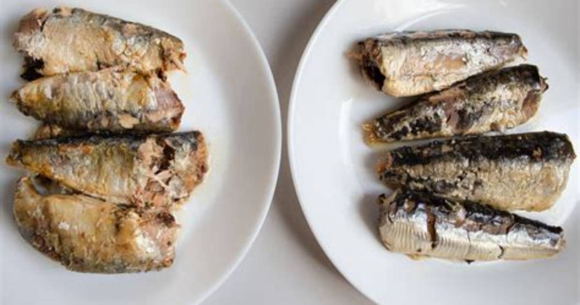 When Did Pilchards Become Sardines?