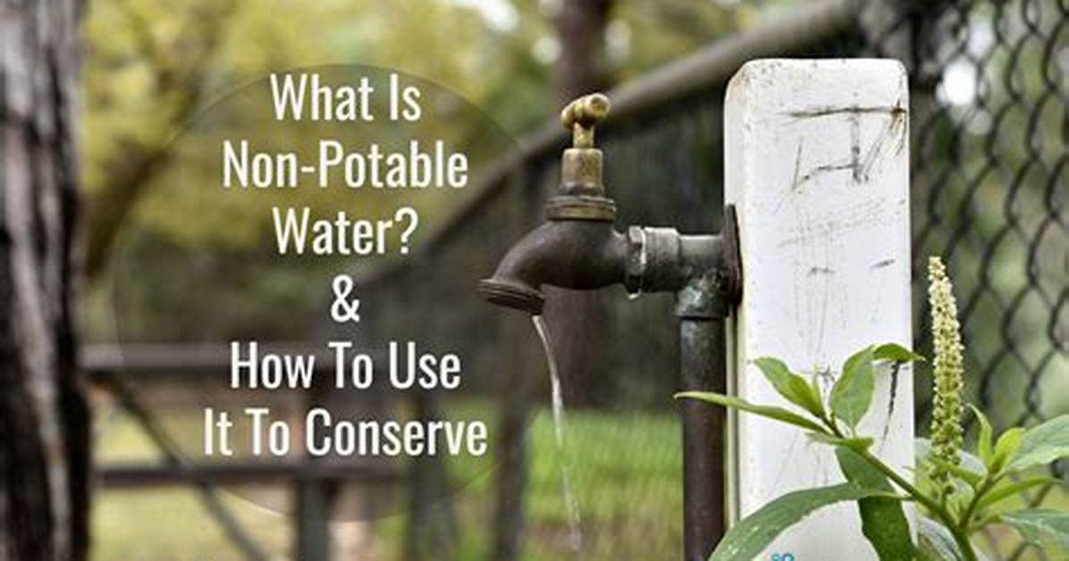When Did Potable Water Start?