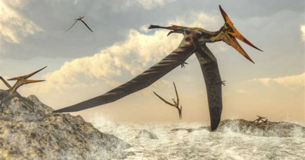 When Did Pterodactyls Die?