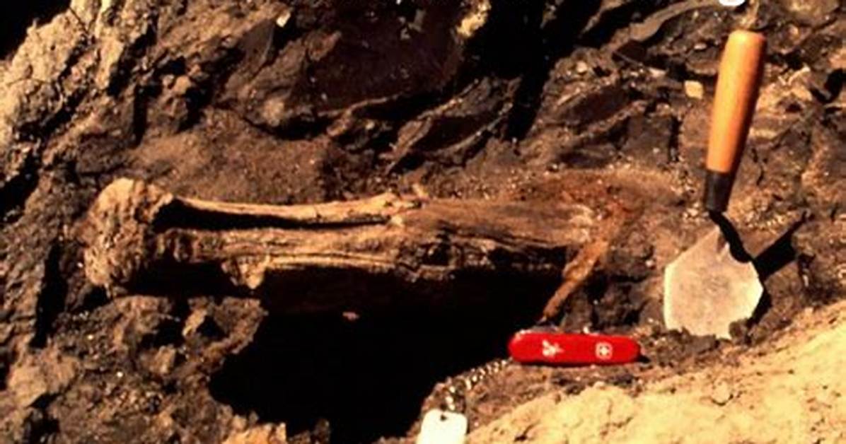 When Did Radiocarbon Dating Begin?