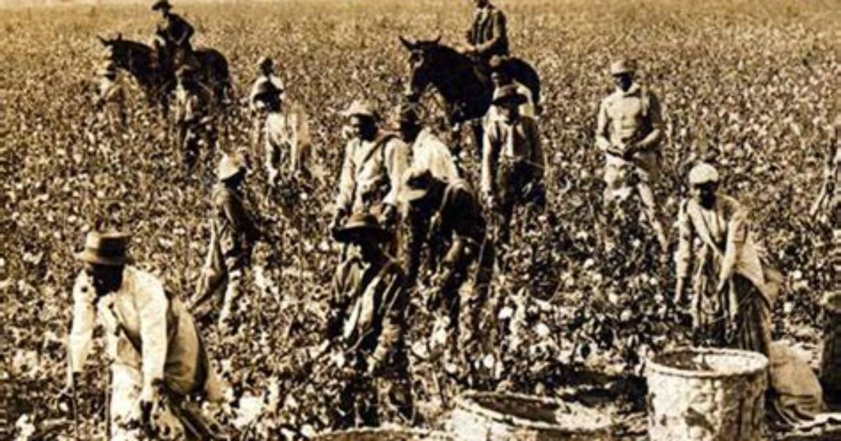 When Did Sharecropping Begin?