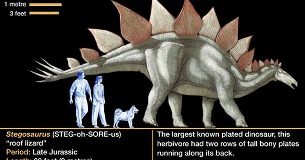 When Did Stegosaurus Go Extinct